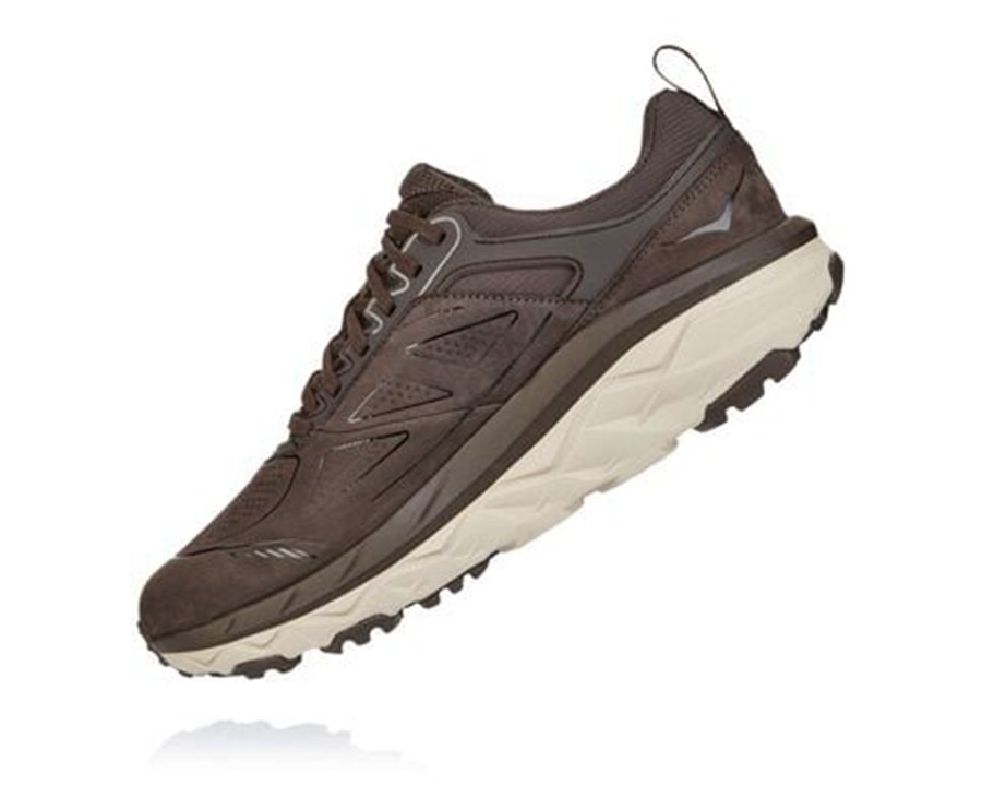 Tenis Trail Hoka One One Masculino Marrom - Challenger Baixo Gore-Tex - 619-GYXJZM